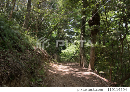 The walking trail in Kyushu University Forest, Sasaguri-machi, Kasuya-gun, Fukuoka Prefecture The walking trail in Kyushu University Forest, Sasaguri-machi, Kasuya-gun, Fukuoka Prefecture 119114394