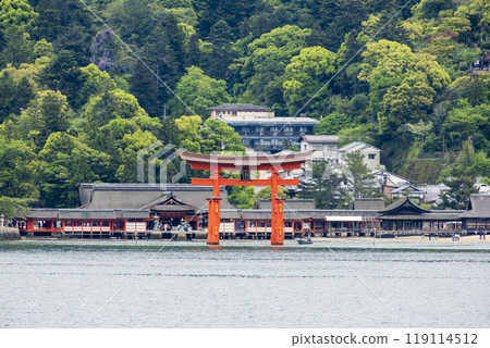 世界遺產、日本最美的三大嚴島神社大鳥居、廣島縣廿日市宮島 世界遺產、日本最美的三大嚴島神社大鳥居、廣島縣廿日市宮島 119114512