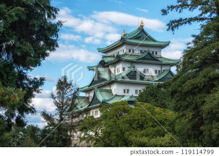 Nagoya castle view 119114799