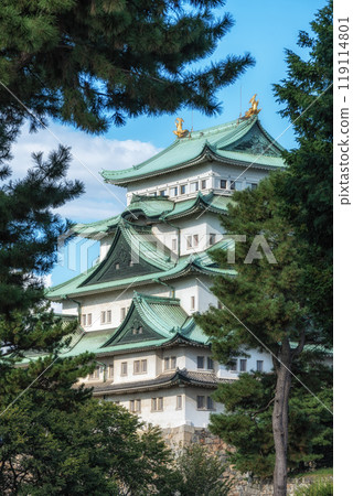 Nagoya castle view 119114801