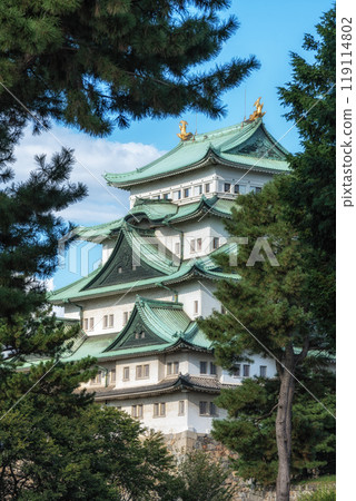 Nagoya castle view 119114802
