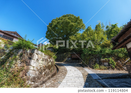 Magome Town Summer Scenery 119114804