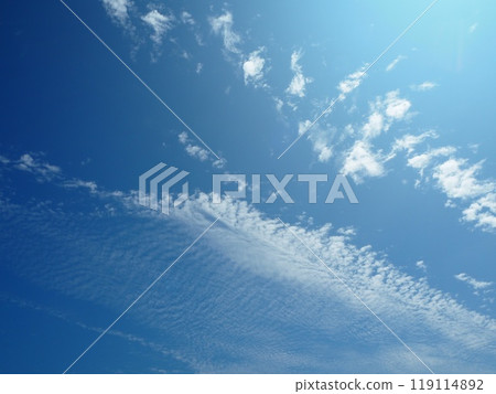sunny sky sunny sky 119114892