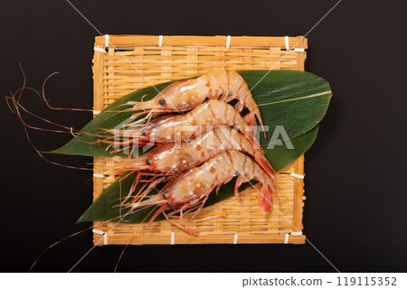 [Akita Prefecture] Button shrimp for sashimi 119115352