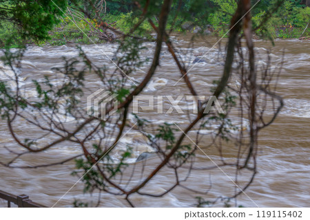 Heavy rains have turned a normally tranquil mountain stream into a dangerously swollen torrent. 119115402
