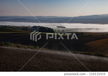 Hills where morning mist dances Hills where morning mist dances 119115433