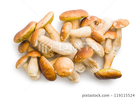 Fresh boletus mushrooms isolated on white background. 119115524