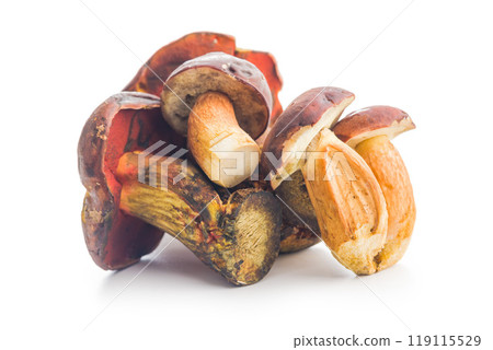 Fresh boletus mushrooms isolated on white background. 119115529