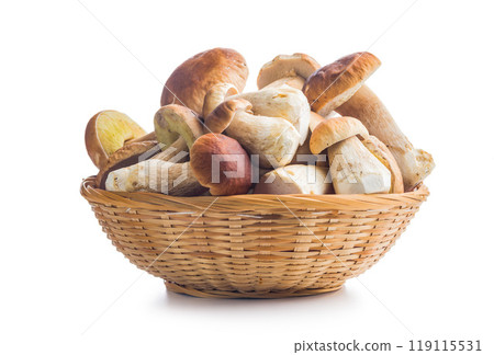 Fresh boletus mushrooms in basket isolated on white background. 119115531