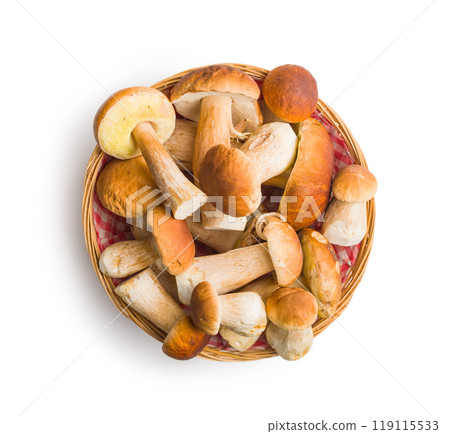 Fresh boletus mushrooms in basket isolated on white background. 119115533
