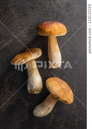 Fresh boletus mushrooms on kitchen table. Top view. 119115559