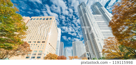 Autumn scenery of the Nishi-Shinjuku buildings in Tokyo Autumn scenery of the Nishi-Shinjuku buildings in Tokyo 119115998
