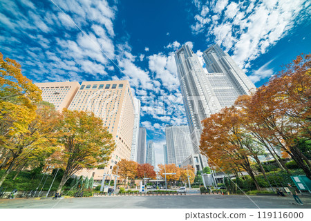 「東京」西新宿建築物的秋天風景 - 新宿 119116000
