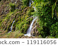 Kakinohanahigawa Spring Water, Tamaki, Nanjyo City, Okinawa Prefecture 119116056