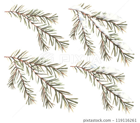 Winter fir branch with needles set. Snowy spruce, pine or cedar trees evergreen twig. Snow on a coniferous branch. Hand drawn illustration for Christmas card design Isolated clipart from background. Winter fir branch with needles set. Snowy spruce, pine or cedar trees evergreen twig. Snow on a coniferous branch. Hand drawn illustration for Christmas card design Isolated clipart from background. 119116261
