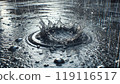 雨噴霧 119116517