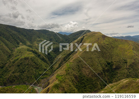 Green rainforest and jungle in the mountains of Philippines view from above. 119116559