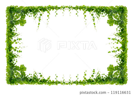 vine frame leaf vine circle Isolate on transparent background PNG file vine frame leaf vine circle Isolate on transparent background PNG file 119116631