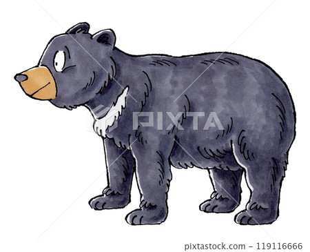 Asian black bears Asian black bears 119116666