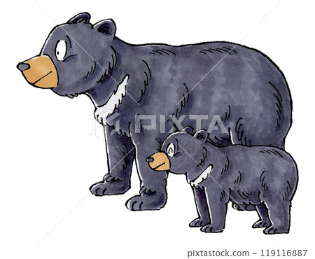 亞洲黑熊家族 亞洲黑熊家族 119116887