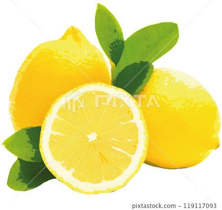 fruits fruits 119117093