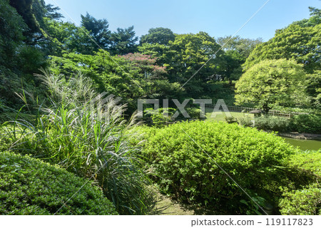 Tokyo Metropolitan Teien Art Museum, Shirokanedai, Minato Ward, Tokyo Tokyo Metropolitan Teien Art Museum, Shirokanedai, Minato Ward, Tokyo 119117823