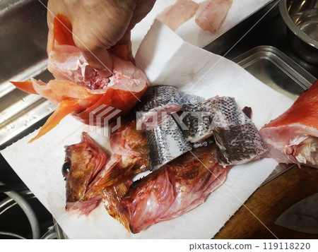 Mutsu, Himeda, Scorpionfish 119118220