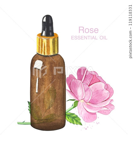 Pink rose flower and essential oil. Spa and aromatherapy. Watercolor hand drawn illustration 119118331