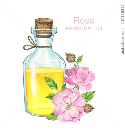 Pink rose flower and essential oil. Spa and aromatherapy. Watercolor hand drawn illustration 119118332