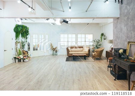 Modern interior 119118518