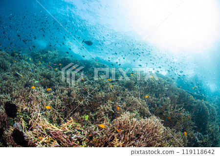 Life to live 119118642