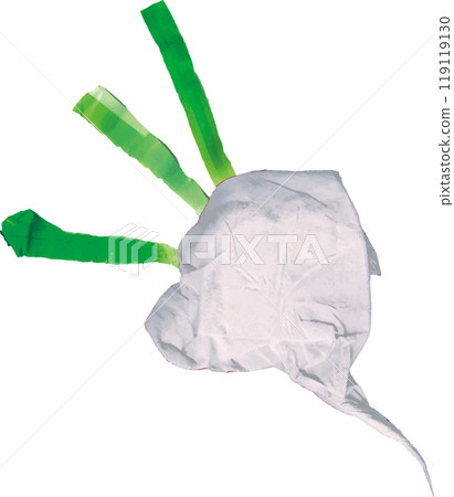 White turnip 119119130