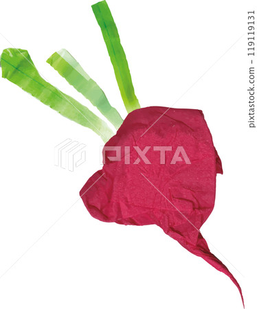 Red turnip radish 119119131