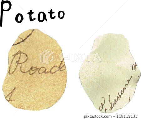 Simple and stylish potato illustration 119119133