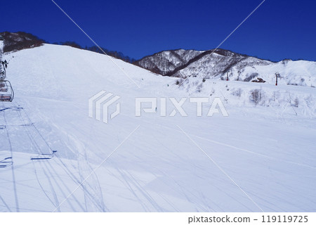 Tsugaike Mountain Resort Champion Slope 119119725