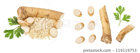 Horseradish root with slices grated pile and parsley isolated on white background Horseradish root with slices grated pile and parsley isolated on white background 119119753