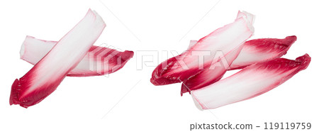 red chicory or radicchio leaves isolated on white background 119119759