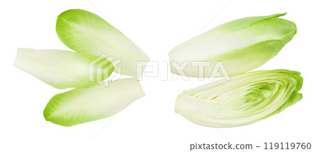 Chicory salad leaves isolated on white background with full depth of field. Top view. Flat lay 119119760