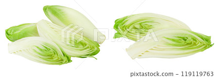 Chicory salad isolated on white background with full depth of field. Chicory salad isolated on white background with full depth of field. 119119763