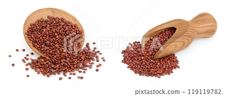 red quinoa seeds in wooden bowl and scoop isolated on white background with full depth of field 119119782