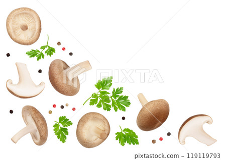 Fresh Shiitake mushroom isolated on white background . Top view with copy space for your text. Flat lay 119119793