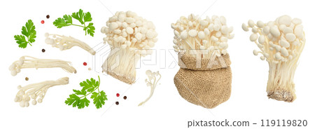 Enoki mushroom, Golden needle mushroom isolated in white background . Top view. Flat lay 119119820