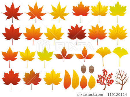 一組受秋葉啟發的落葉和堅果插圖 119120114