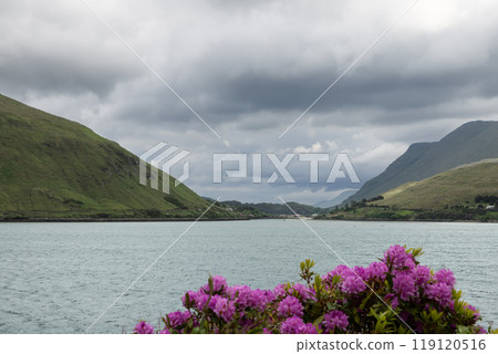 Peaceful Irish lake with green hills purple flowers and cloudy sky reflecting serene natural beauty Peaceful Irish lake with green hills purple flowers and cloudy sky reflecting serene natural beauty 119120516