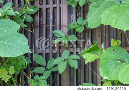 Abandoned house (Japanese: akiya), Kanazawa, Japan Abandoned house (Japanese: akiya), Kanazawa, Japan 119120619