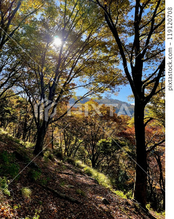 秋葉中的靈仙山 秋葉中的靈仙山 119120708