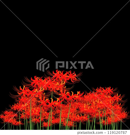 Cluster amaryllis floating in the dark 119120787