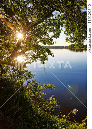Serene Riverbank Scene with Lush Greenery 119120840