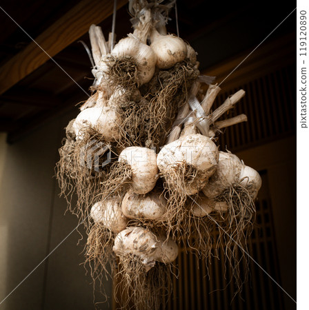 Hanging garlic Hanging garlic 119120890