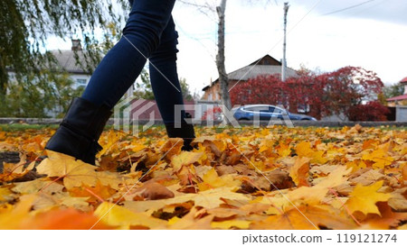 Legs of young woman stepping on yellow foliage at park. Female feet in boots going on fallen maple leaves at parkland. Girl walking at parkland at autumn season on cloudy day. Close up Slow motion Legs of young woman stepping on yellow foliage at park. Female feet in boots going on fallen maple leaves at parkland. Girl walking at parkland at autumn season on cloudy day. Close up Slow motion 119121274